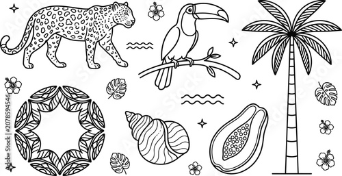 Photography Tropical jungle safari vector line art icon set featuring leopard toucan palm tr
