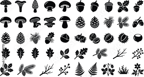 Foto Black and white forest including mushrooms, pinecones, acorns, and leaves woodla