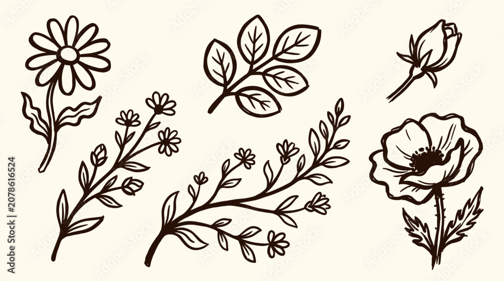 Fototapeta premium Hand drawn set in vintage outline illustration style of flowers and leaves