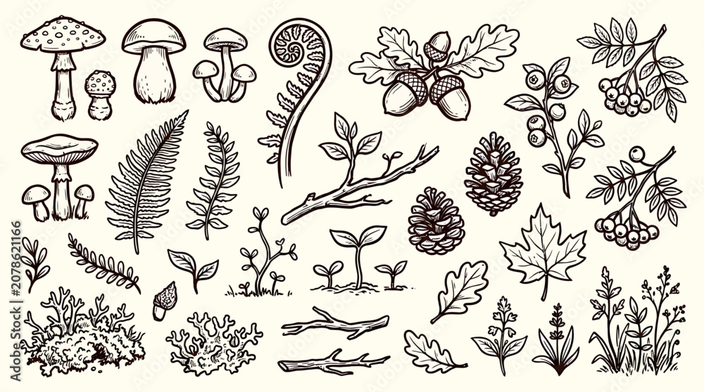 Obraz premium A sketch vector set of various plants and mushrooms in a forest environment
