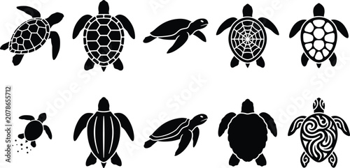 Konstfotografi sea turtle black silhouettes vector icons set featuring different aquatic tortoi