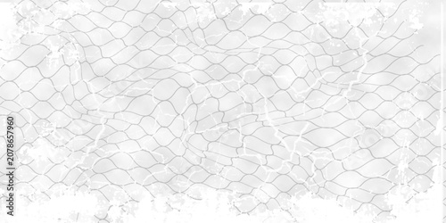 Black snake skin pattern isolated on white background eps 10