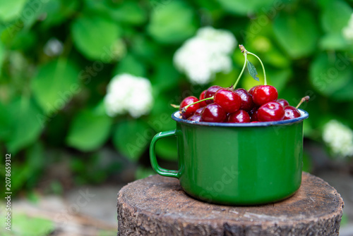 Ripe cherries in a cup