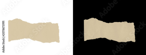 Wavy Folded Torn Paper Piece on Dual White and Black Backgrounds