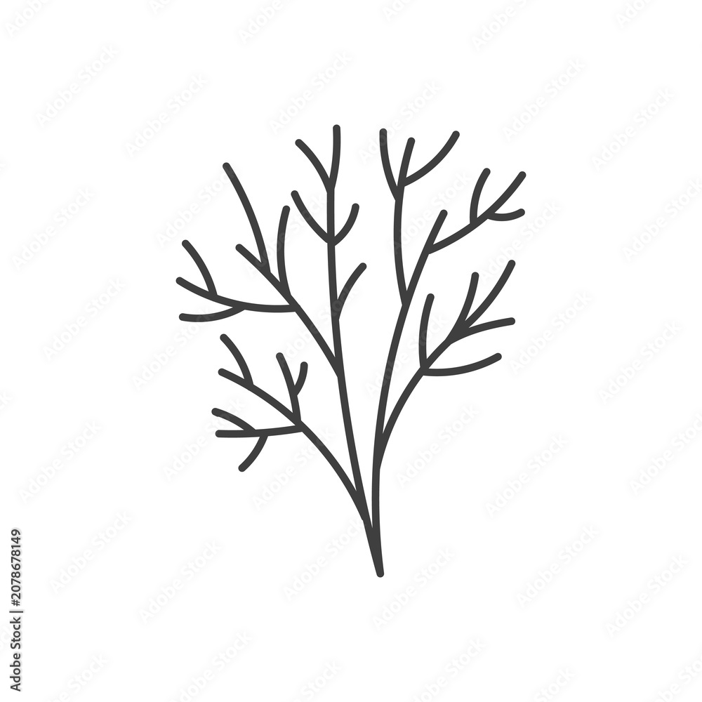 Fototapeta premium Fresh Dill Sprig Sketch Icon. Hand Drawn organic vector illustration of greenery branch with delicate feathery leaves and stems. Suitable for pickling recipes, Scandinavian cuisine, and farm-to-table 