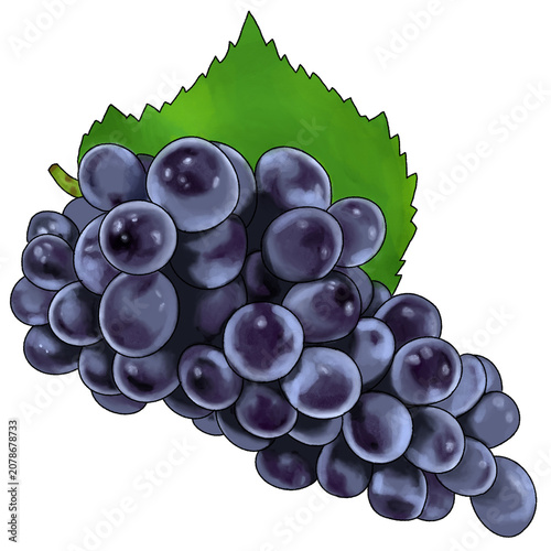 Tableau sur toile bunch of grapes