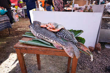Two raw surubi or tiger catfish on green leaves on a wooden market table