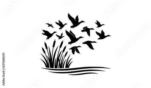 Photography Professional flock of flying birds wetland silhouette vector artwork