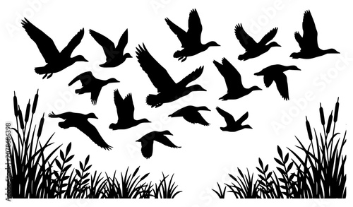Foto Premium wildlife bird flock silhouette over wetland vector illustration
