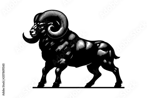 Black and White Bull Illustration Isolated Farm Animal Portrait with Strong Horns Wildlife Art Design on White Background