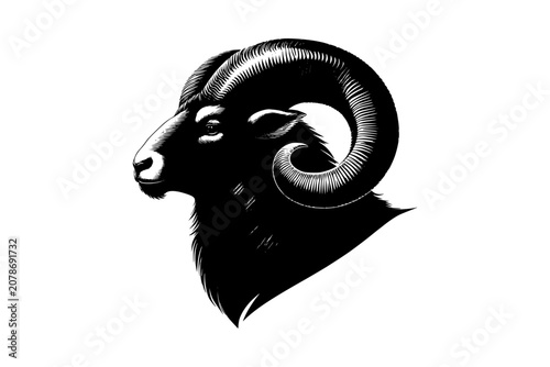 Bull Head Vector Illustration with Horns Isolated Animal Portrait Design for Farm and Wildlife Theme
