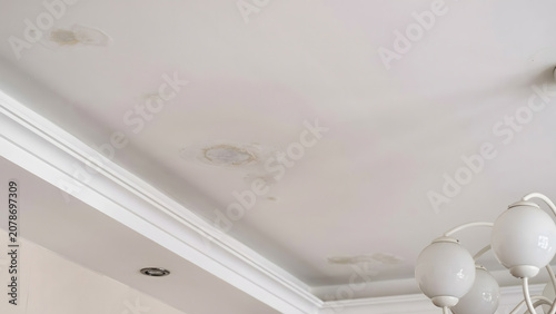 Water stains and mold marks on a residential white ceiling interior