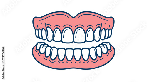 Bild auf Leinwand Full set of human dentures with pink gums and white teeth