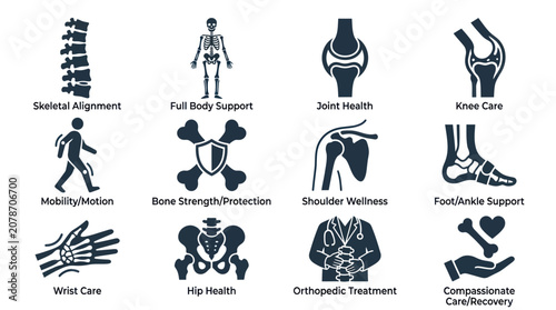 Bild auf Leinwand Orthopedic and skeletal health icons for medical and wellness design