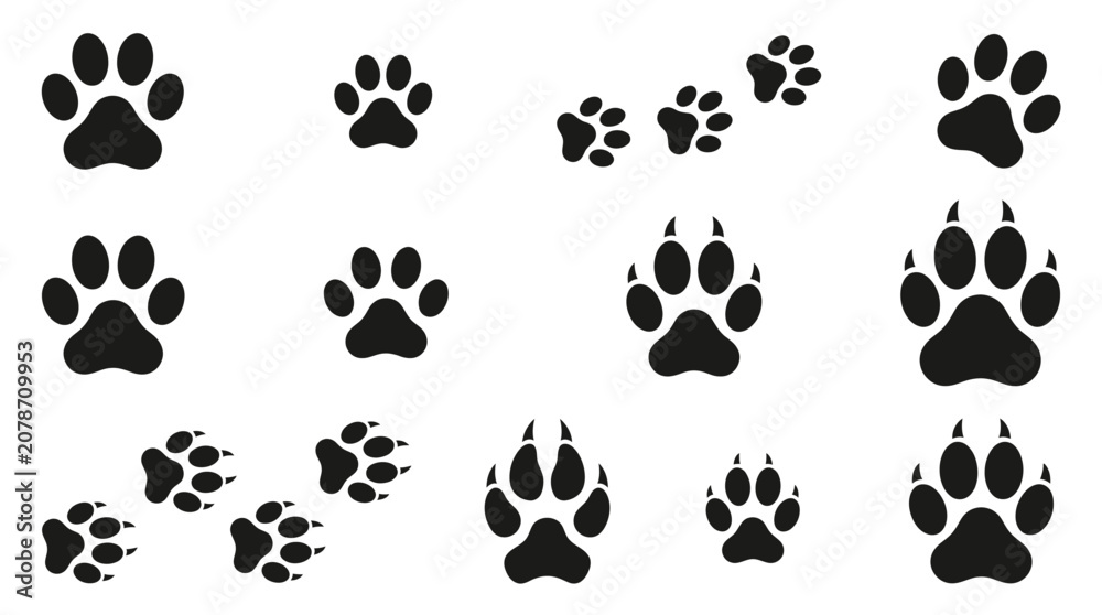 Fototapeta premium Multiple black animal paw prints isolated on a clean white background featuring various sizes and sharp claw details for design