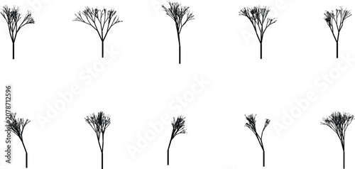 Foto Minimalist tree branch illustrations with bare twigs Vector