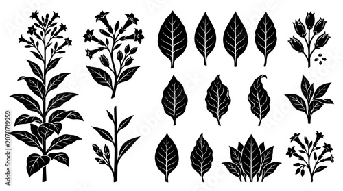 Collection of Black Silhouettes of Tobacco Plants and Leaves.