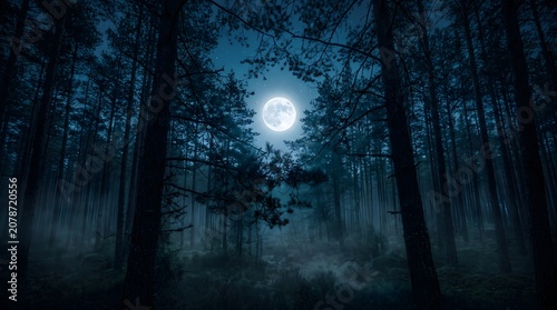 Moonlit Night Forest Landscape with Fog, Mist and Dark Trees Under Full Moon and Cloudy Blue Sky