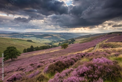 Scenic Heather Landscape Under Dramatic Cloudy Sky in Nature