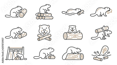 Foto Beaver life and dam construction line icons.