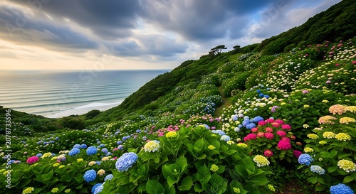 Scenic Coastal Landscape with Vibrant Hydrangeas and Lush Green Hills.
