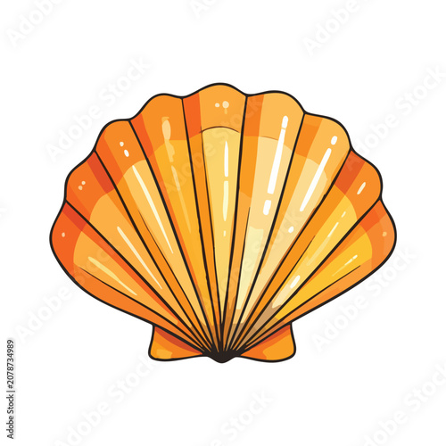 A beautiful bright orange seashell illustration on a white background.