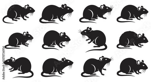 Konstfotografi Black Rat Silhouettes In Various Poses Isolated On White Background