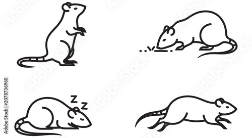 Foto Mouse Silhouettes In Various Poses Black Line Art On White Background