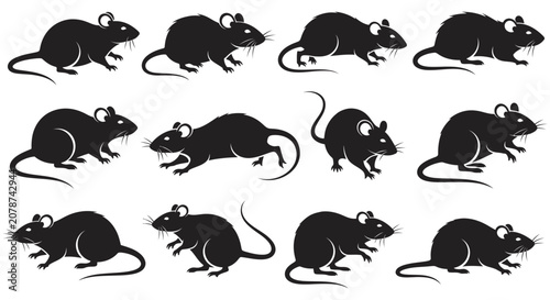 Bild auf Leinwand Black rat silhouettes in various poses a graphic collection on a white backgroun
