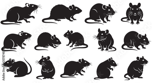 Canvastavla Collection Of Rat Silhouettes On A White Background animal animals