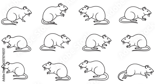 Photos Line art illustrations of rats in various poses on a white background