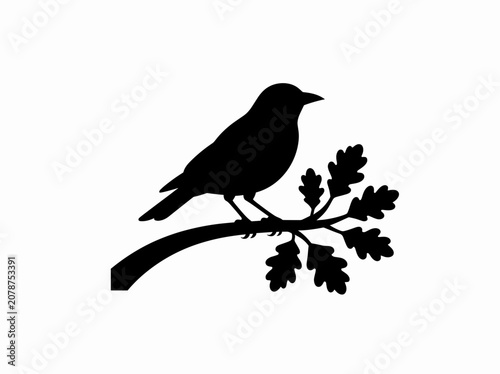 Silhouette of Bird Perched on Oak Branch Against White Background