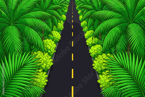 Tropical Road Winding Through Dense Green Palm Forest Landscape Illustration