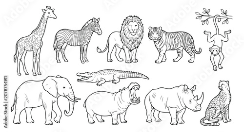 Canvas Print Safari animal vector collection, hand-drawn wildlife illustrations, African sava