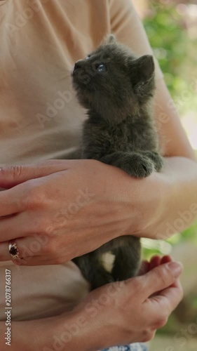 Dark kitten rests in human arms outdoors, gazing upward with bright eyes, soft fur, warm skin tones here