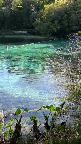 Beautiful clear turquoise water at Rainbow Springs State Park