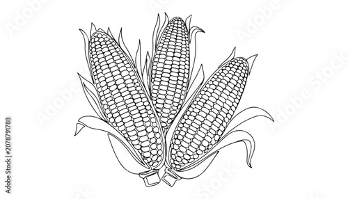 Fotografie Continuous Simple black line art drawing set of corn in a minimalist style on a white background