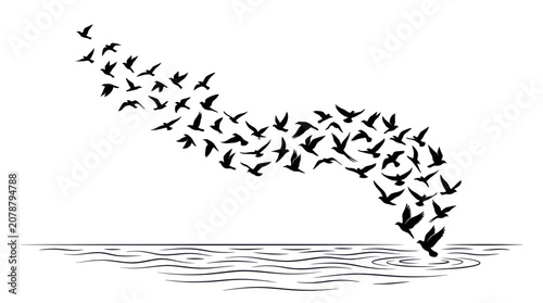 Large flock of migrating birds flying over calm water surface