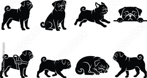 Canvastavla Black Silhouette Vector Bundle of Pugs in Various Poses Including Sitting, Stand
