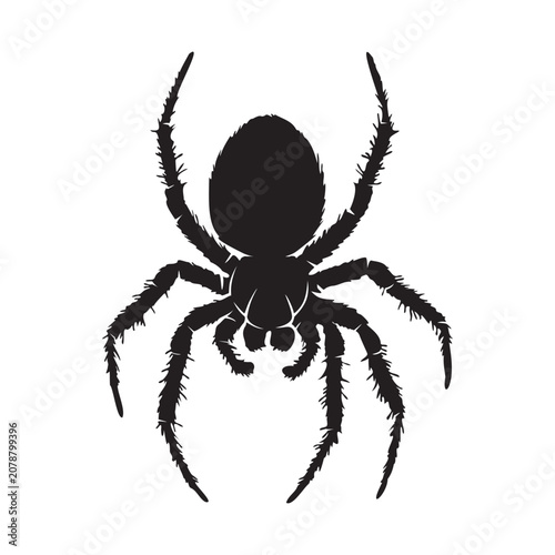 Spider silhouette, halloween spider. Vector illustration