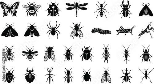 Cuadro en lienzo Insect and bug silhouettes in black flat design style