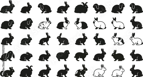 Bild auf Leinwand Collection of diverse rabbit breeds and bunny silhouettes