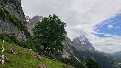 Schweiz