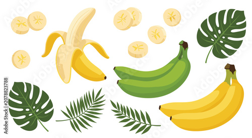 Fresh yellow and green bananas whole, sliced and peeled with tropical monstera and palm leaves isolated on white.