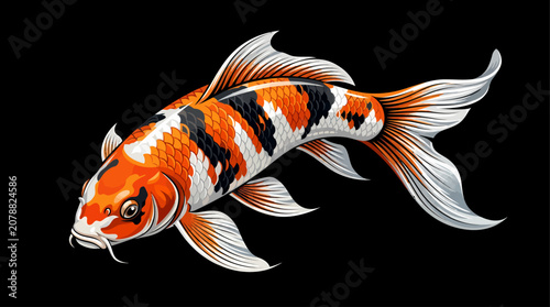 Obraz na plátně Premium vector illustration of a Japanese koi carp viewed from above with realistic fin details and vibrant orange, black, and white markings