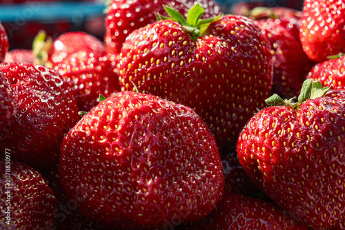 Close up of fresh ripe organic strawberries glowing in natural sunlight at local farmers market rich red summer berries full frame macro background texture