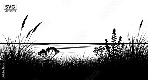 Fotografie Black silhouette of grass and plants.