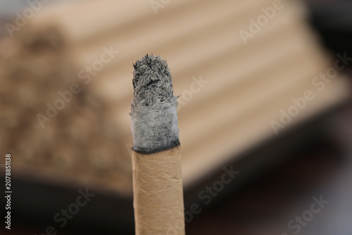 Bild auf Leinwand Traditional Chinese Medicine Moxa Stick with Ash for Moxibustion Therapy and Alt
