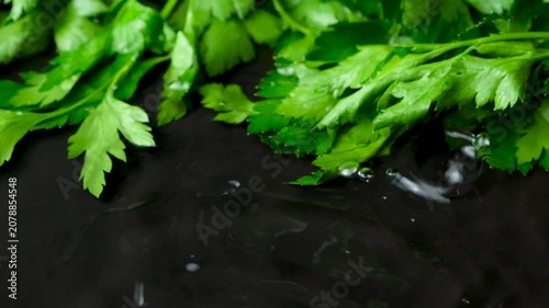 Slow Motion Water Drops Falling on Fresh Parsley over Dark Background