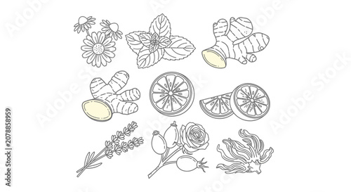 Foto A collection of various herbs and spices.